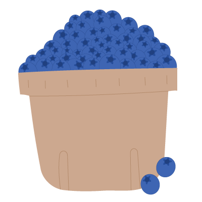 Blueberries